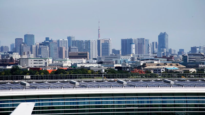 Japan Insurers Seek Capital Efficiency after Solvency Shift